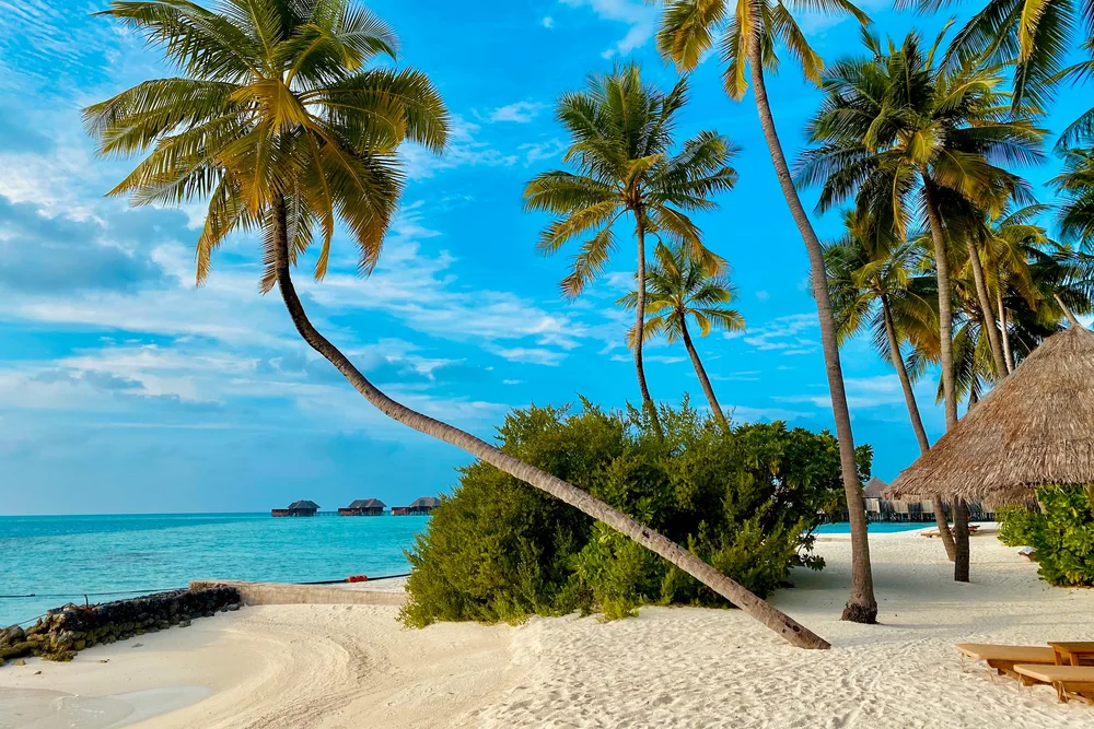 The islands & stays