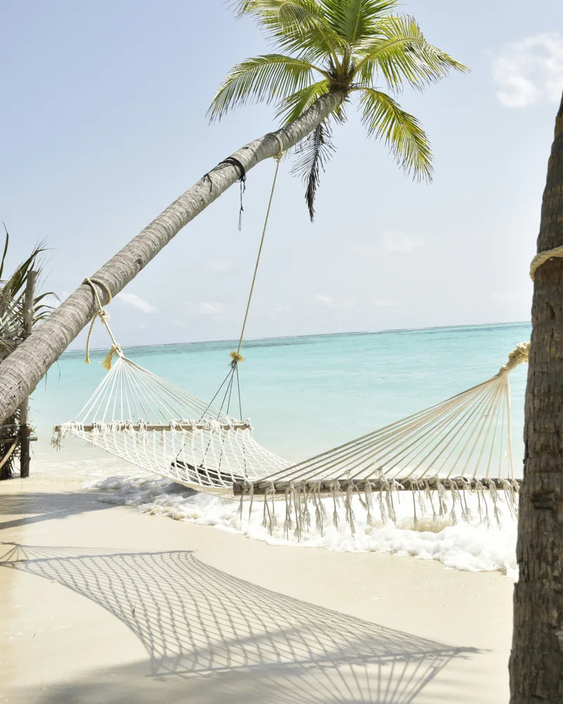 A hammock at the water's edge, Fiji