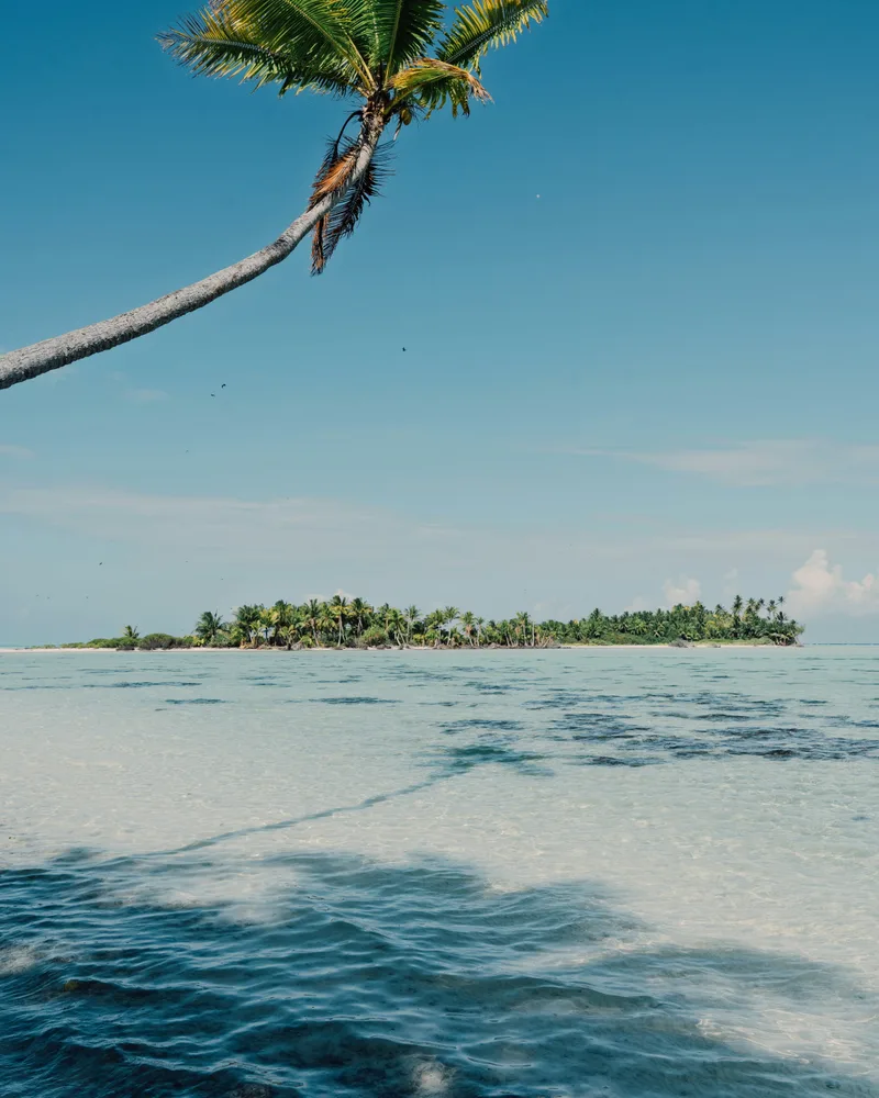 A palm-fringed island & lagoon, Fiji