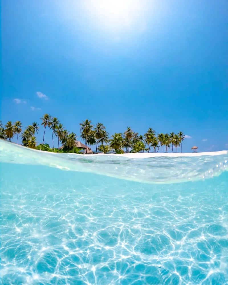 The clear channel, Fiji