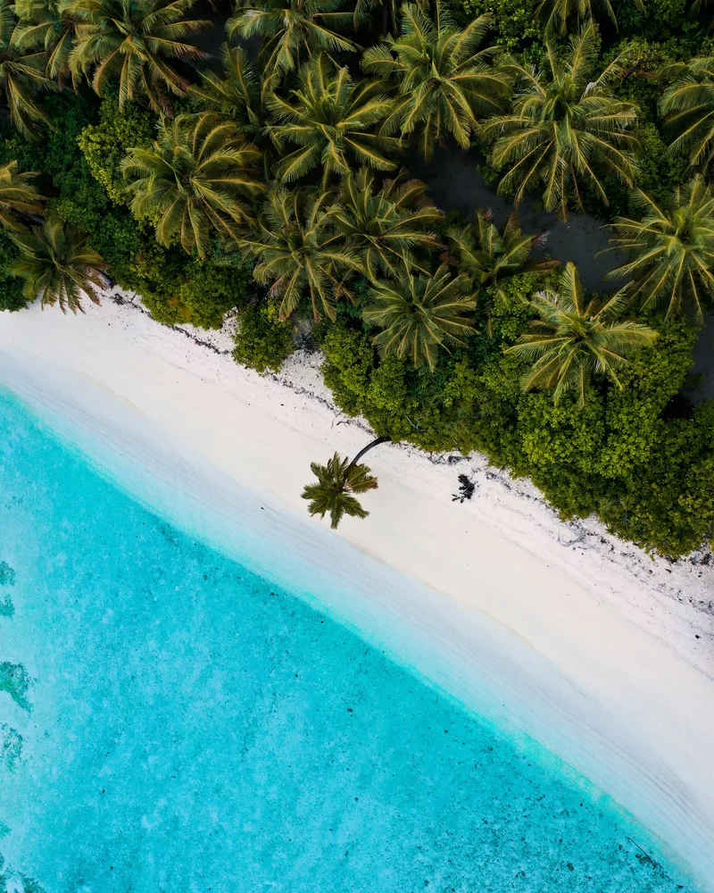 The Coral Coast
