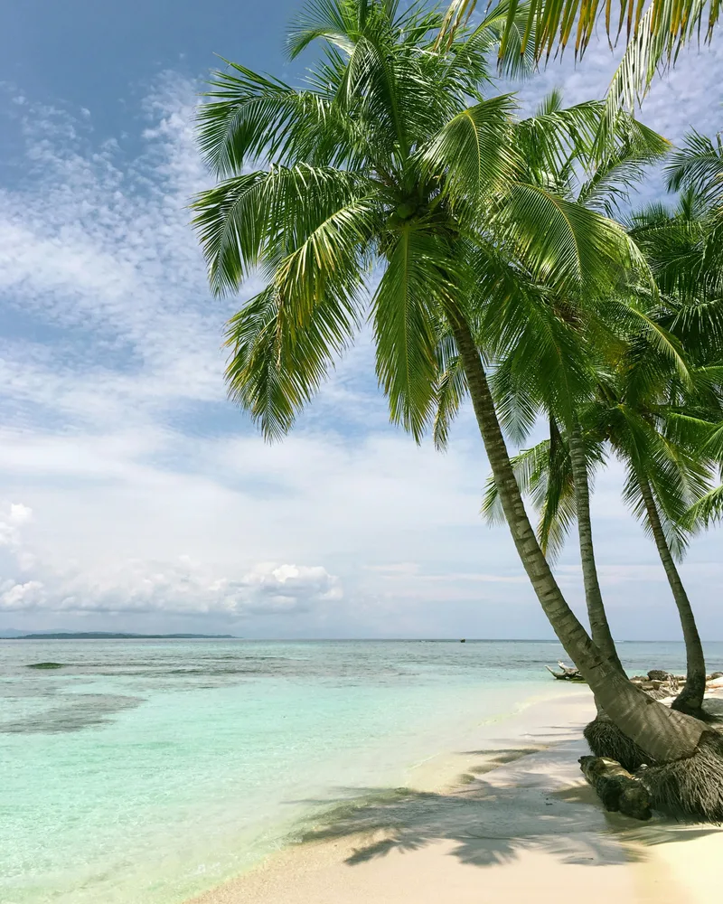Vanua Levu & Taveuni