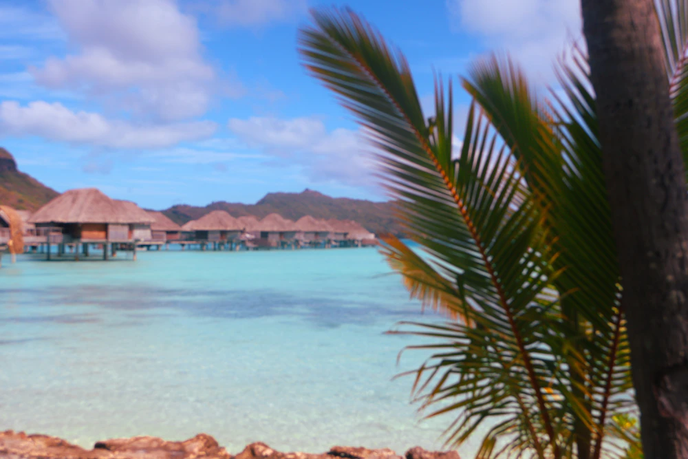 Choosing your bungalow