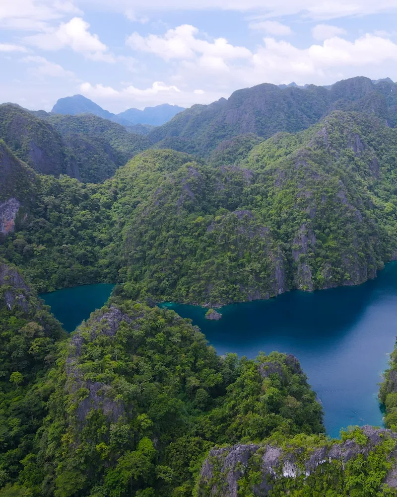 Moorea's green peaks and bays, French Polynesia
