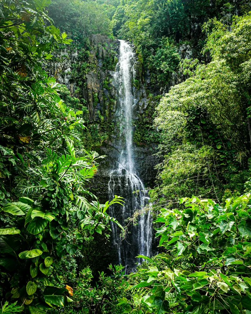 A waterfall in the interior, French Polynesia
