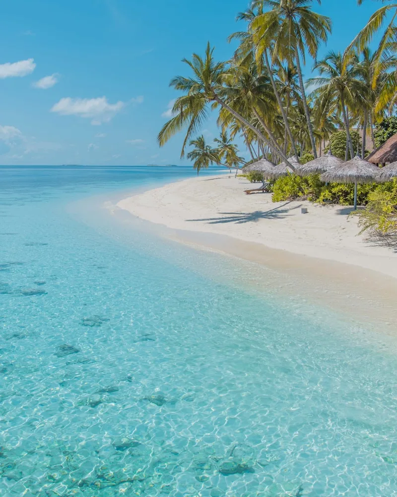 A pink-sand motu, French Polynesia