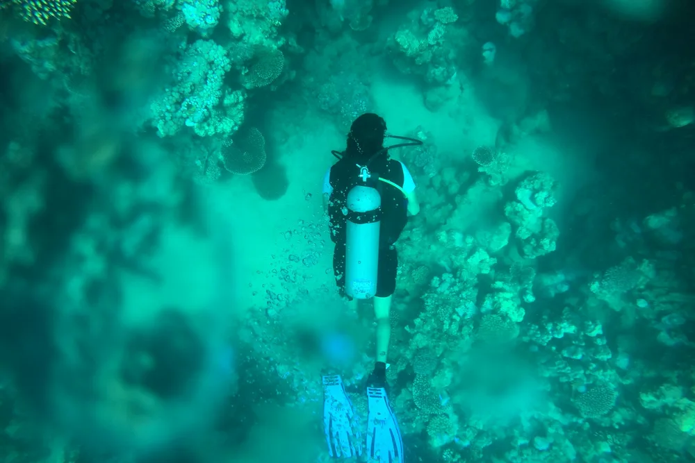 Where to snorkel