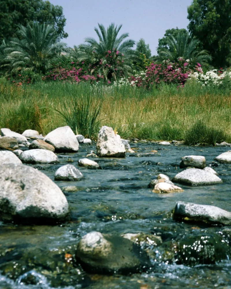 The springs at Tabgha, Israel