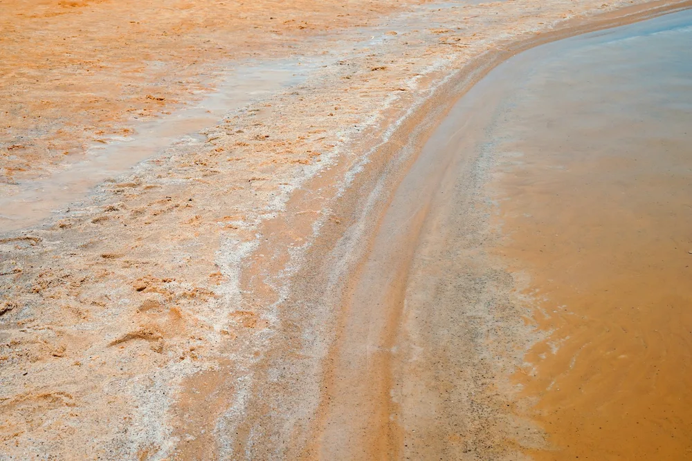 Combine with the Dead Sea & Ein Gedi