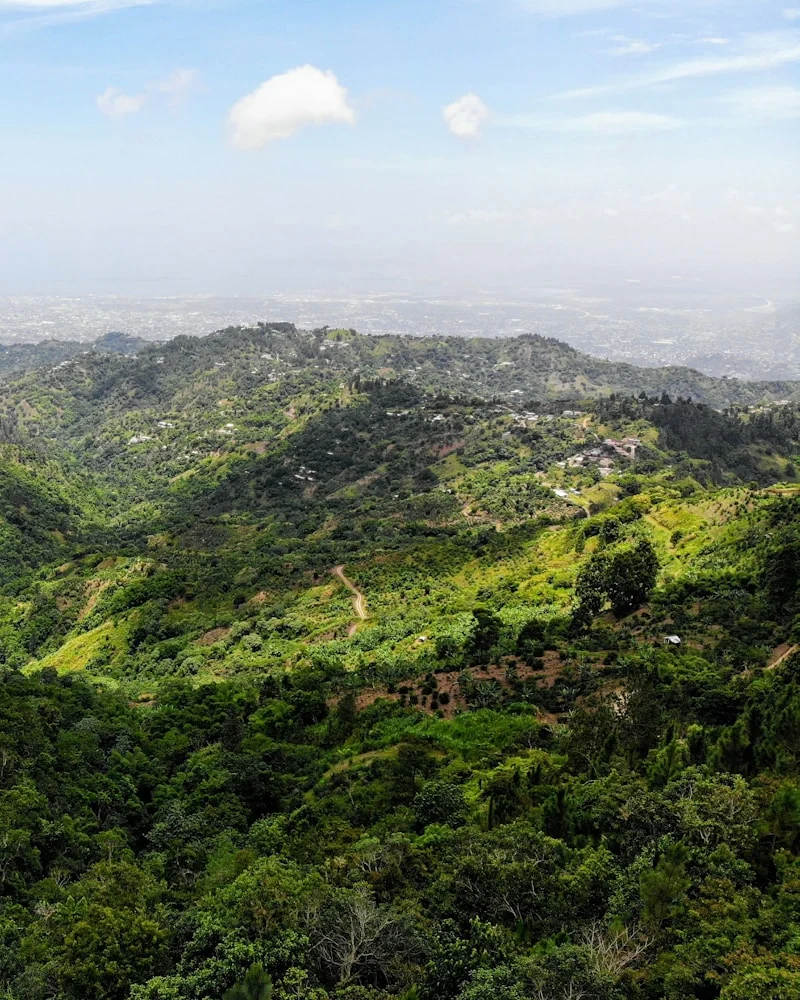 Blue Mountain Peak, Jamaica
