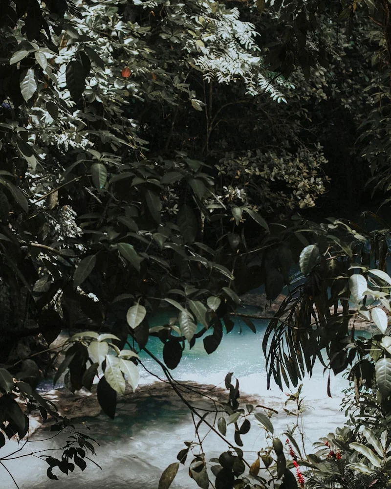 Climbing the falls, Jamaica
