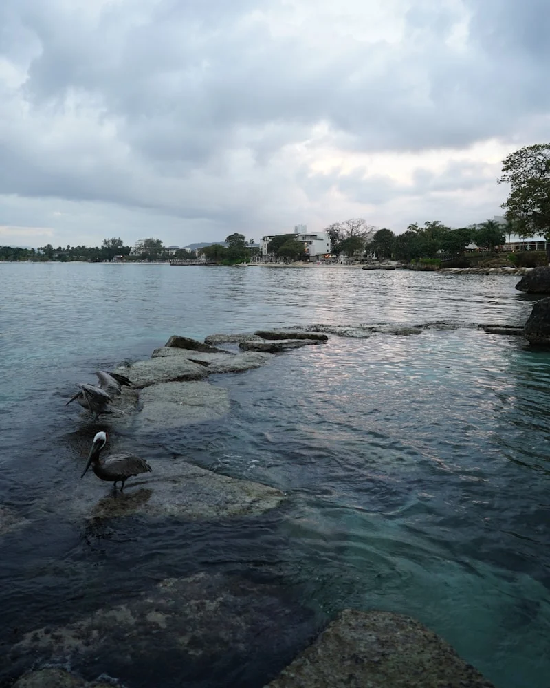The West End shore, Jamaica