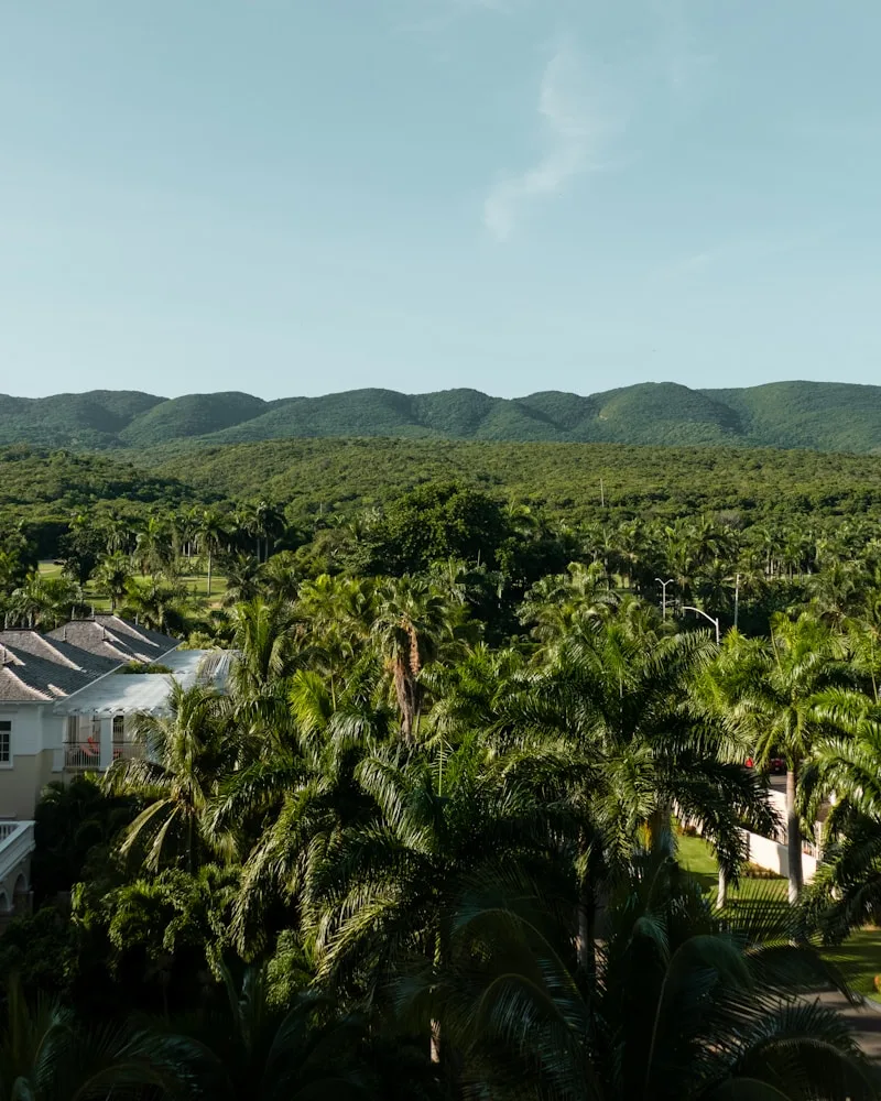The hilltop village, Jamaica
