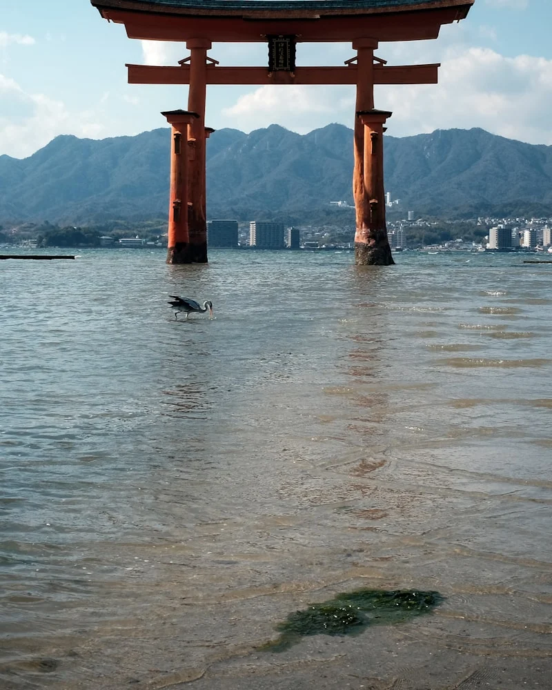 The floating torii, Japan