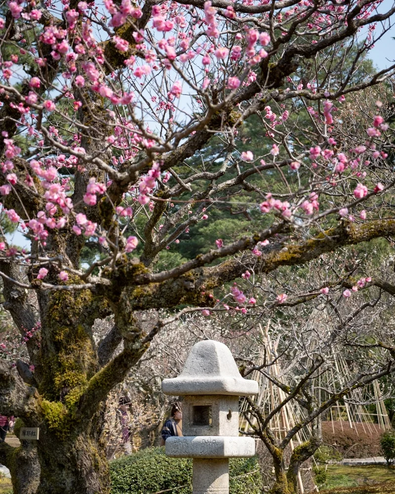 Kenroku-en, Japan