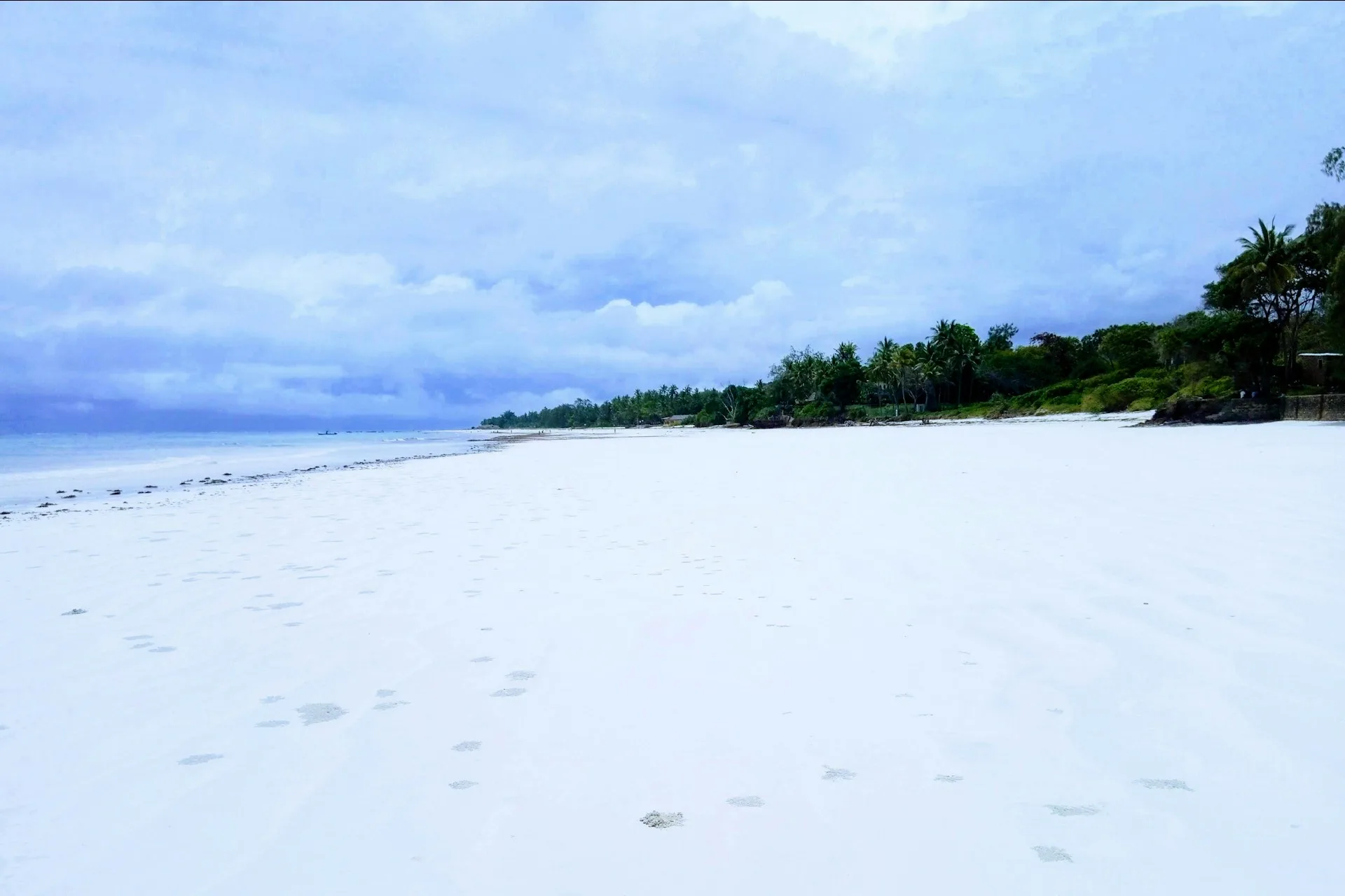 Diani Beach & the Coast