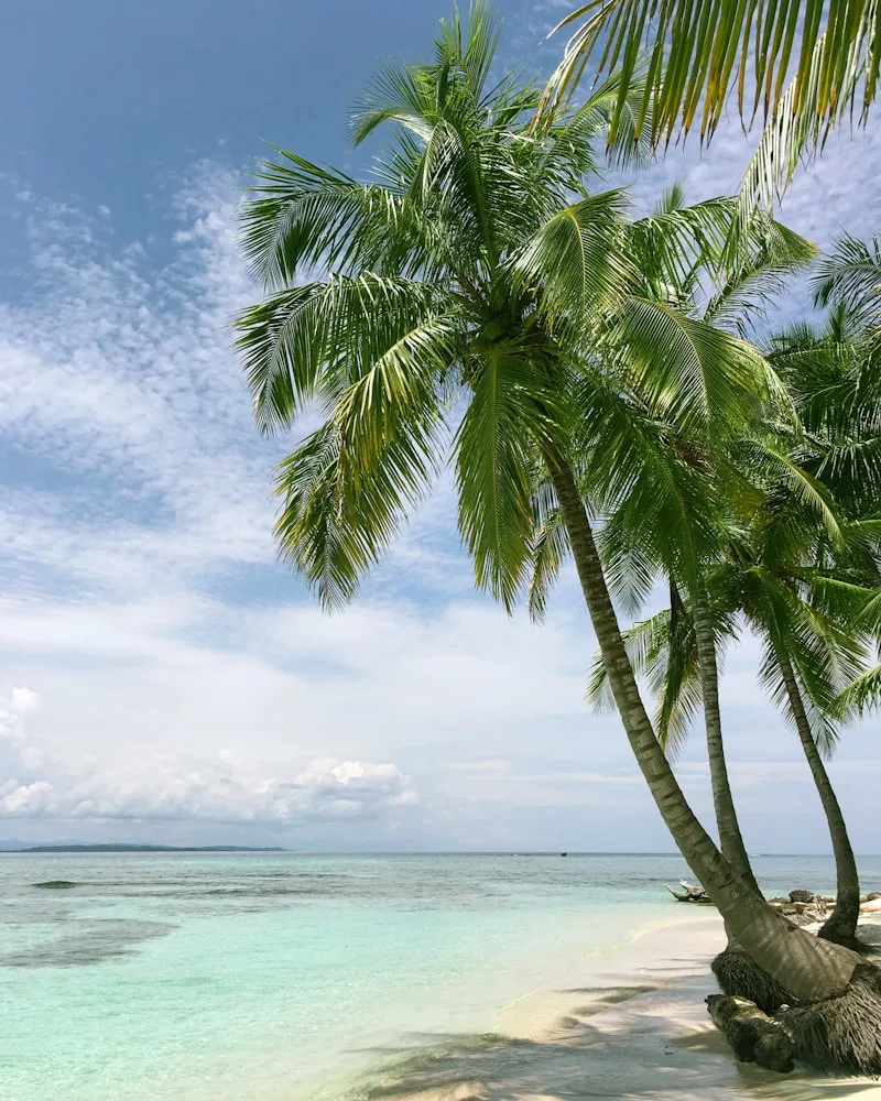 The white-sand, palm-fringed beach, Kenya