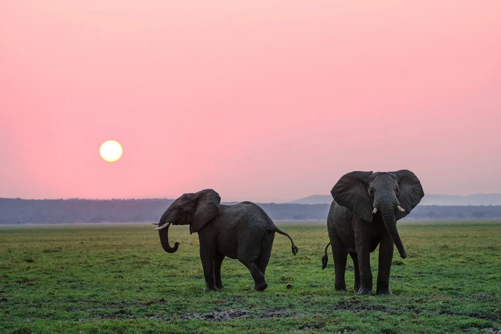Conservancies vs the reserve