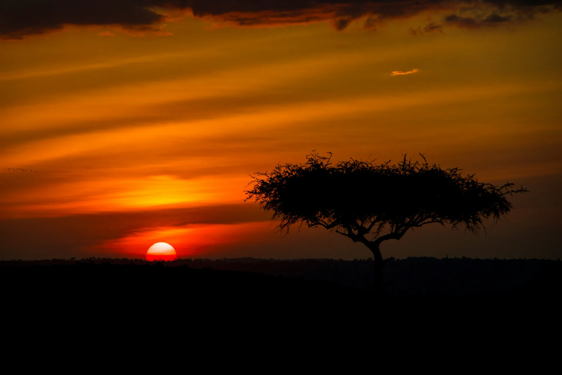 A Balloon Safari Over the Mara