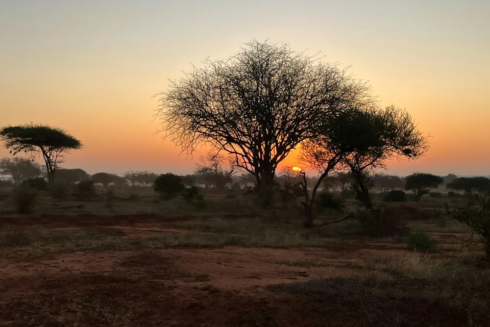 The Maasai Mara