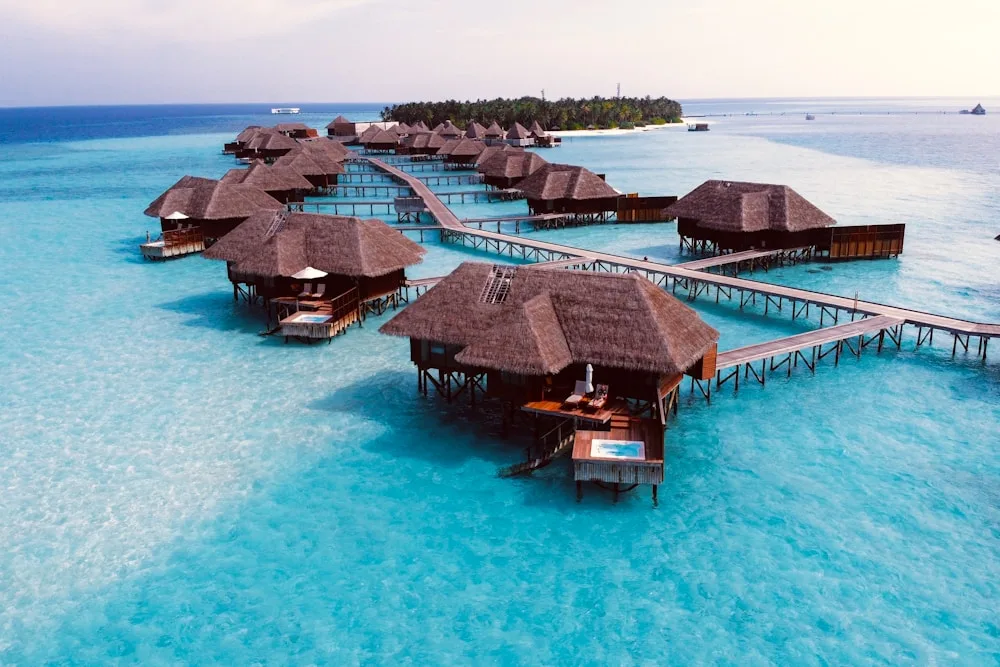 Choosing a resort with a strong house reef