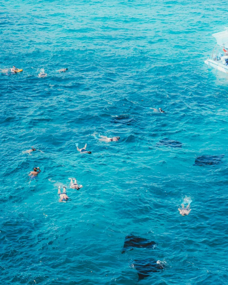Snorkelers meeting a manta, Maldives