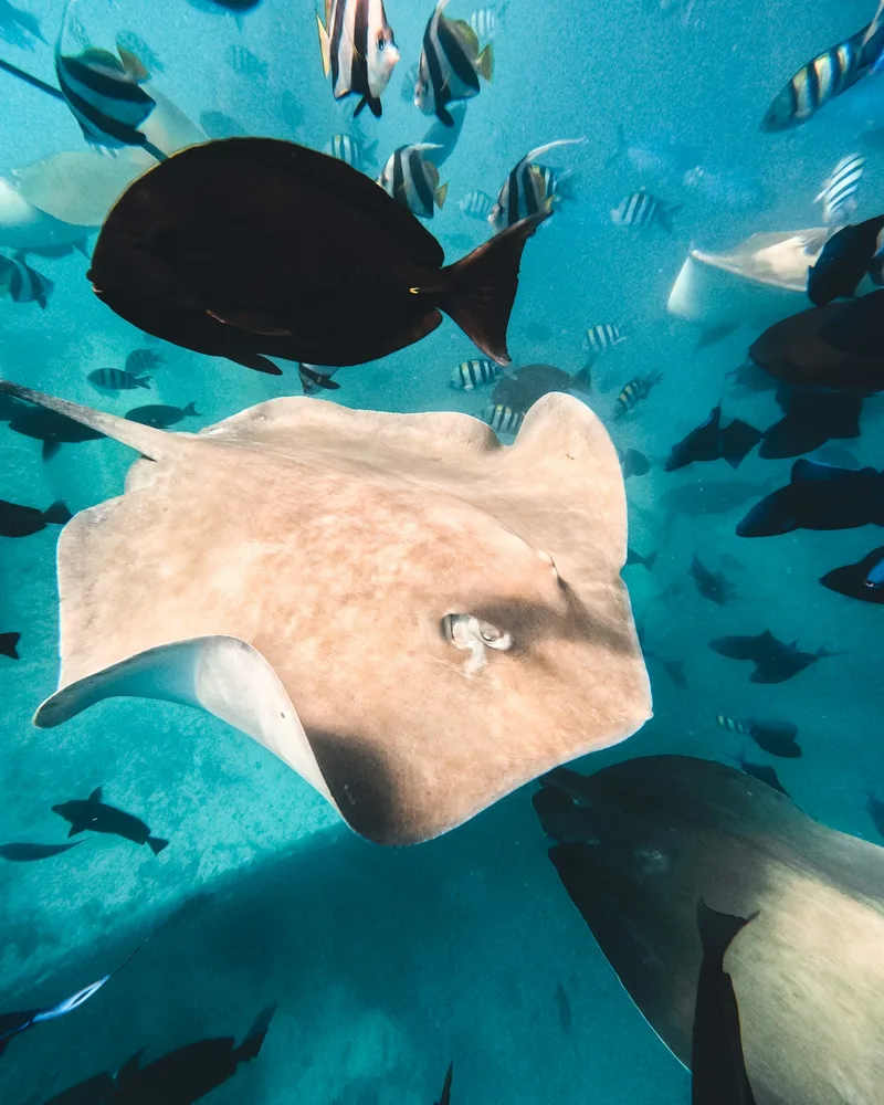 Baa Atoll
