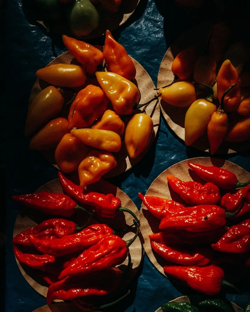 The markets & moles, Mexico