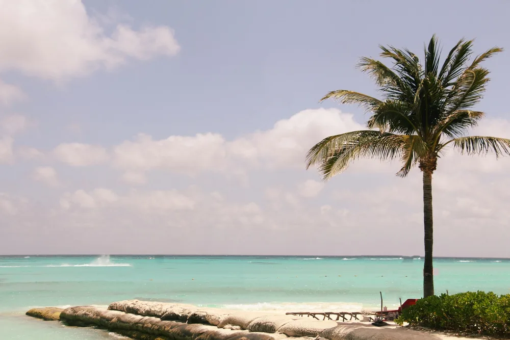The Riviera Maya