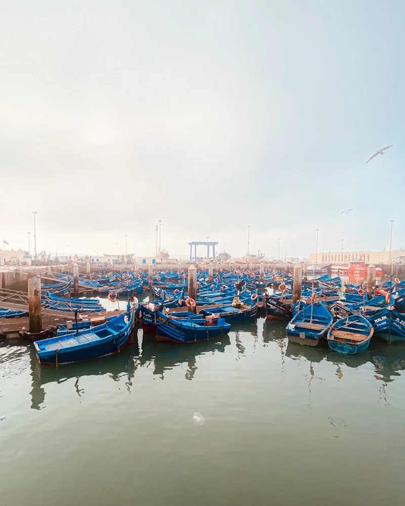 The fishing port, Morocco
