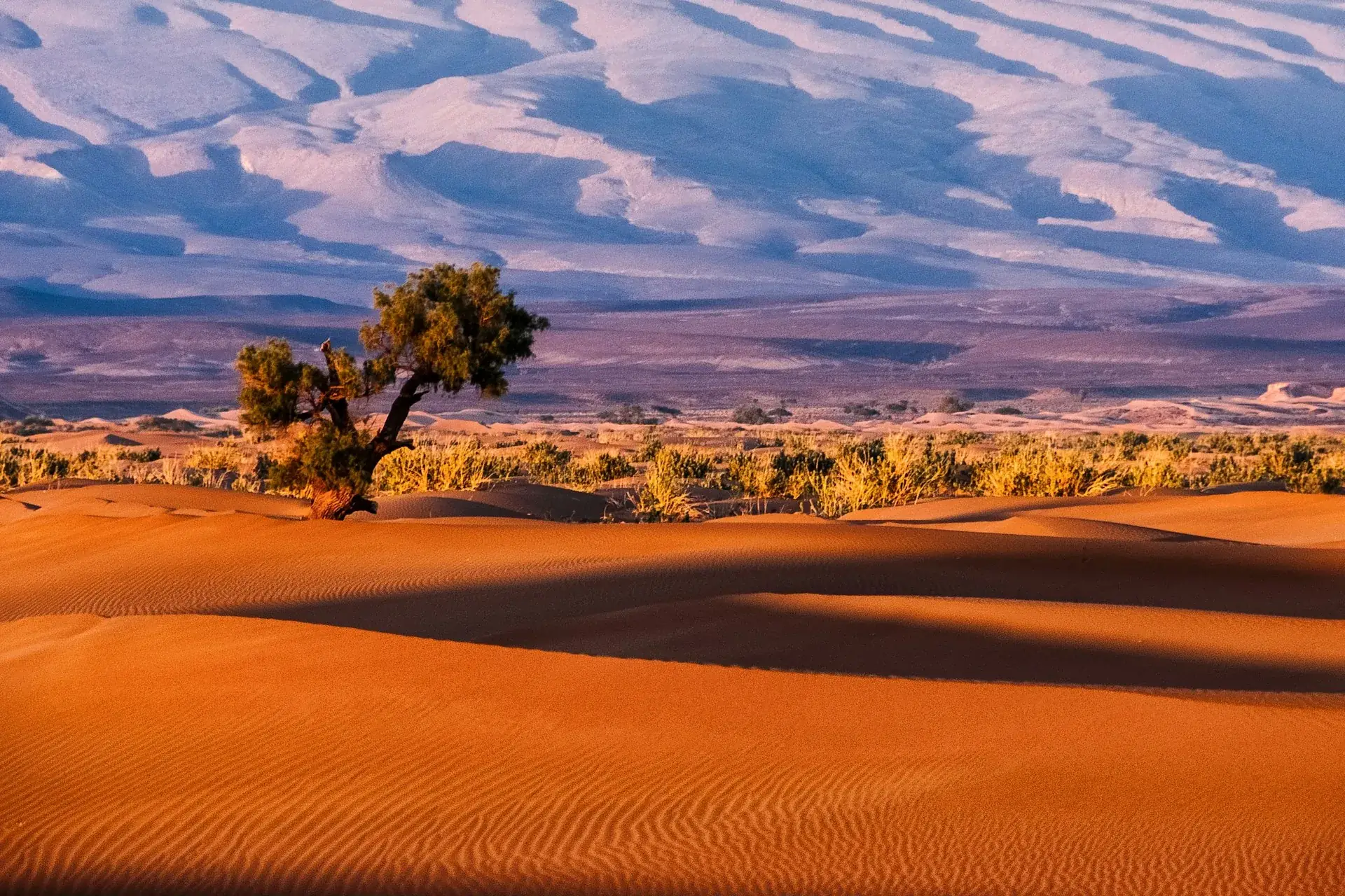 The Sahara at Merzouga