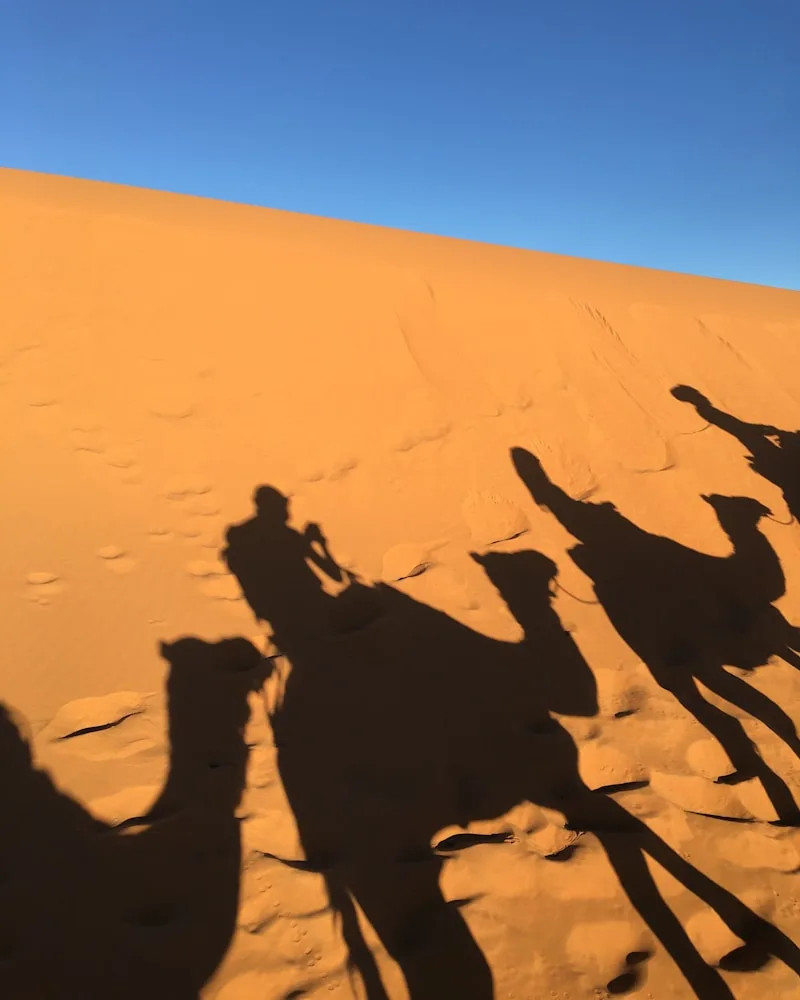 A camel trek, Morocco
