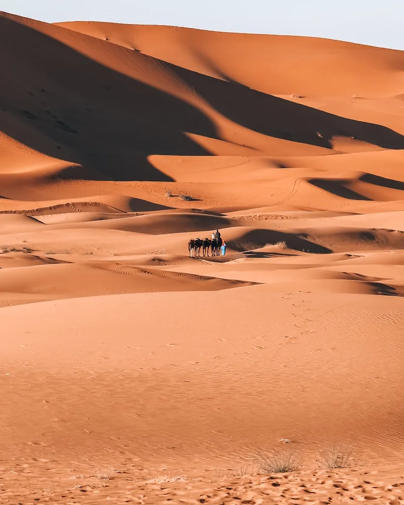 Erg Chebbi dunes, Morocco