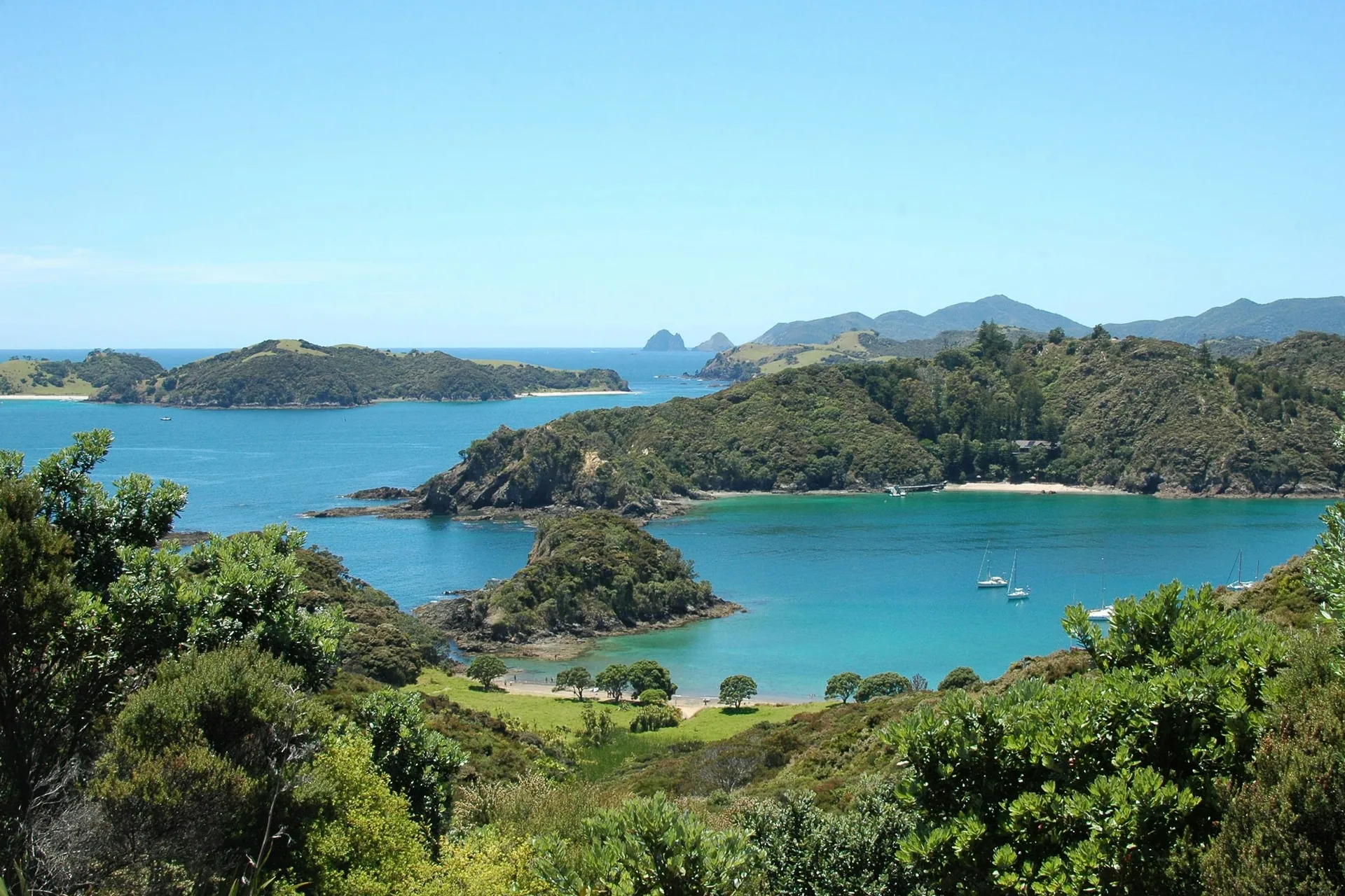 Sailing the Bay of Islands