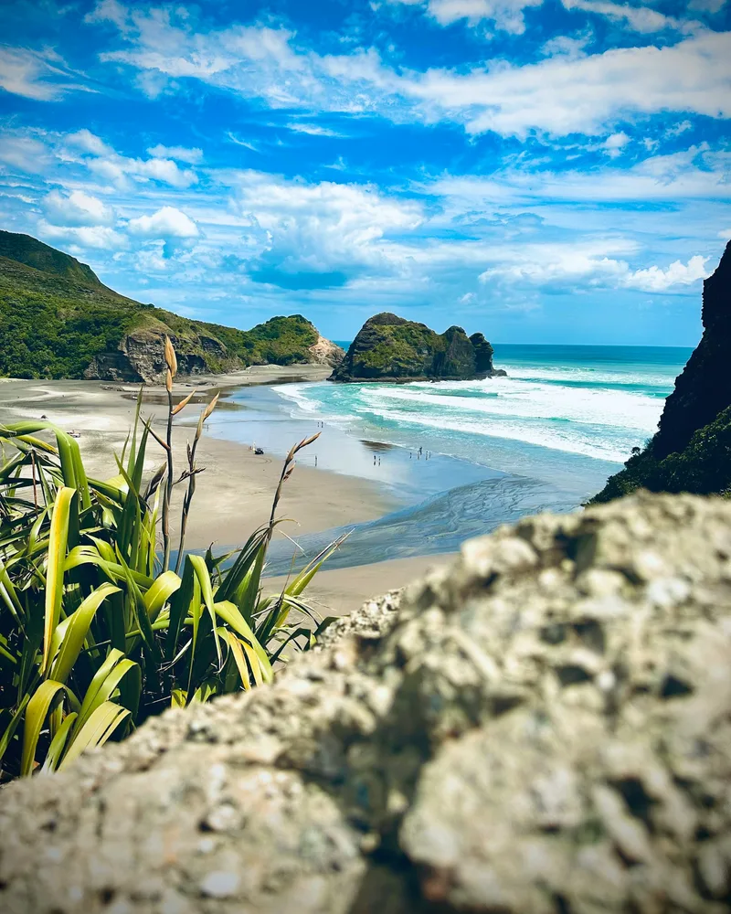 A secluded cove, New Zealand