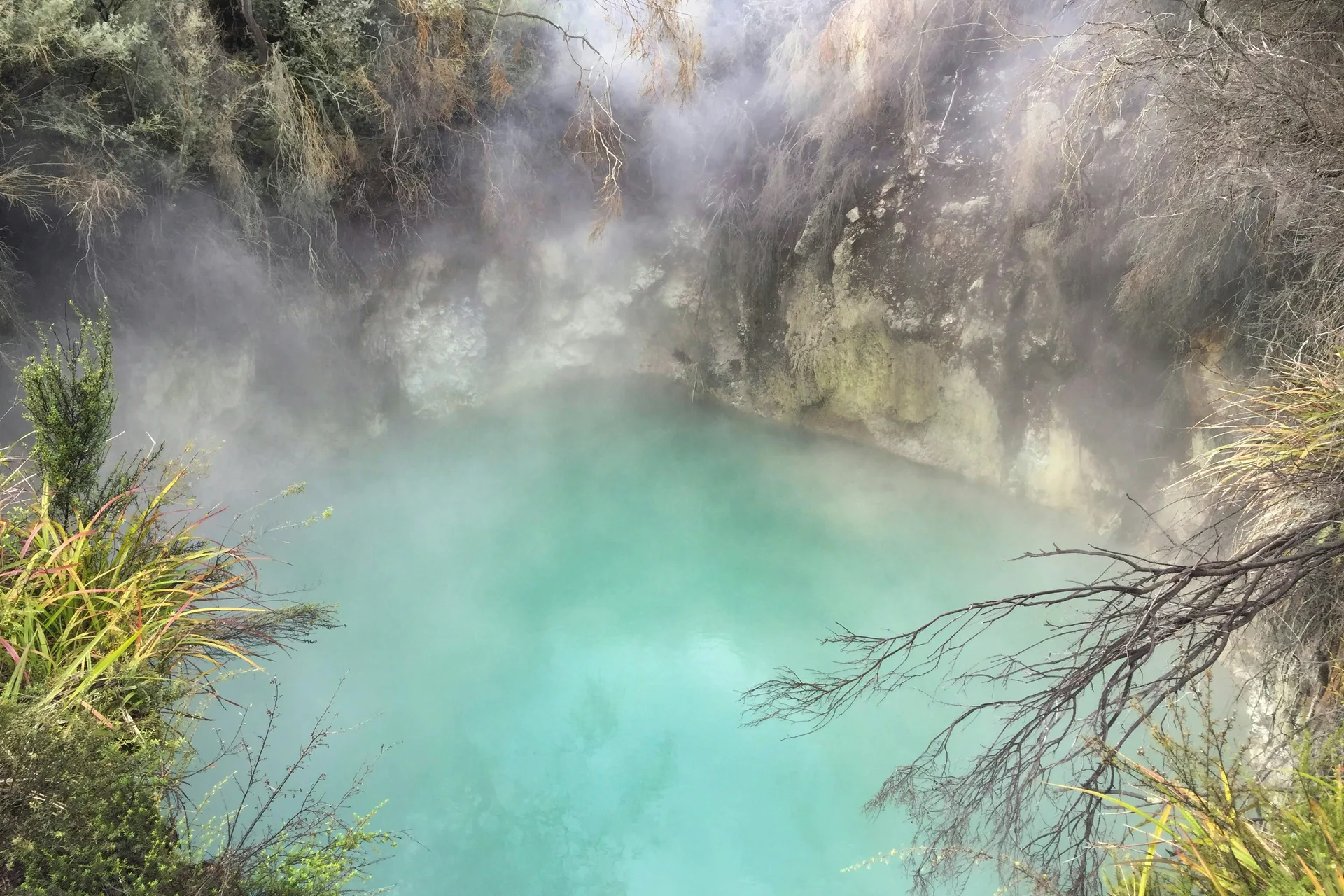 The Geysers and Maori Culture of Rotorua