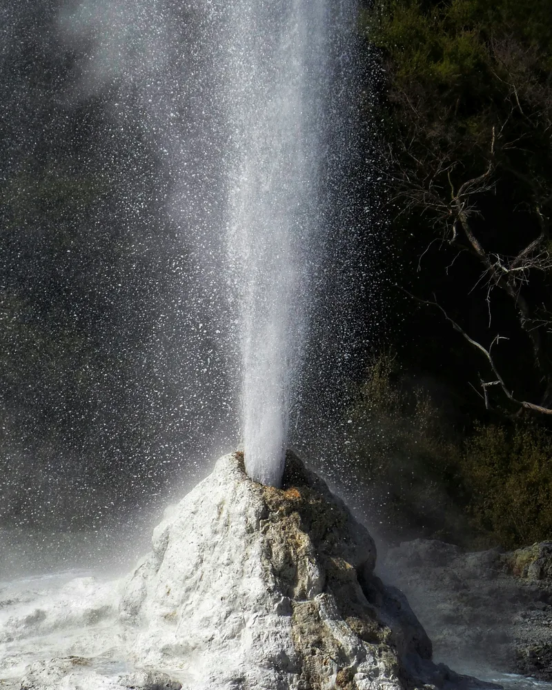 The Pohutu Geyser at Te Puia, New Zealand