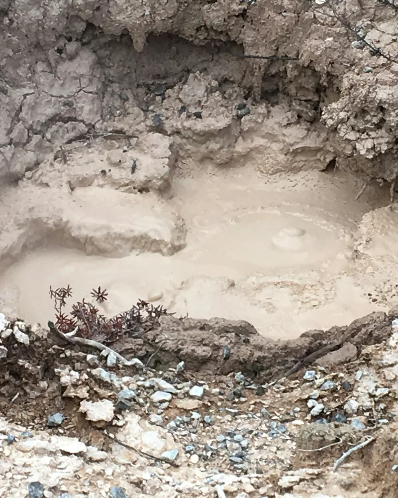 The bubbling mud pools, New Zealand