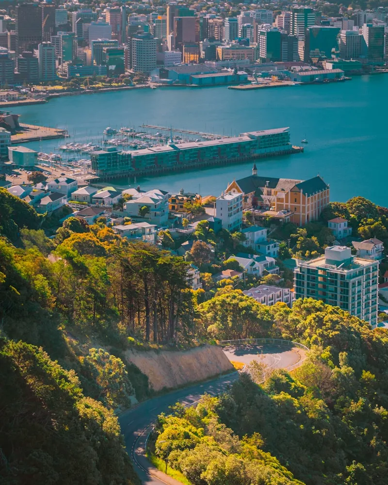 Wellington