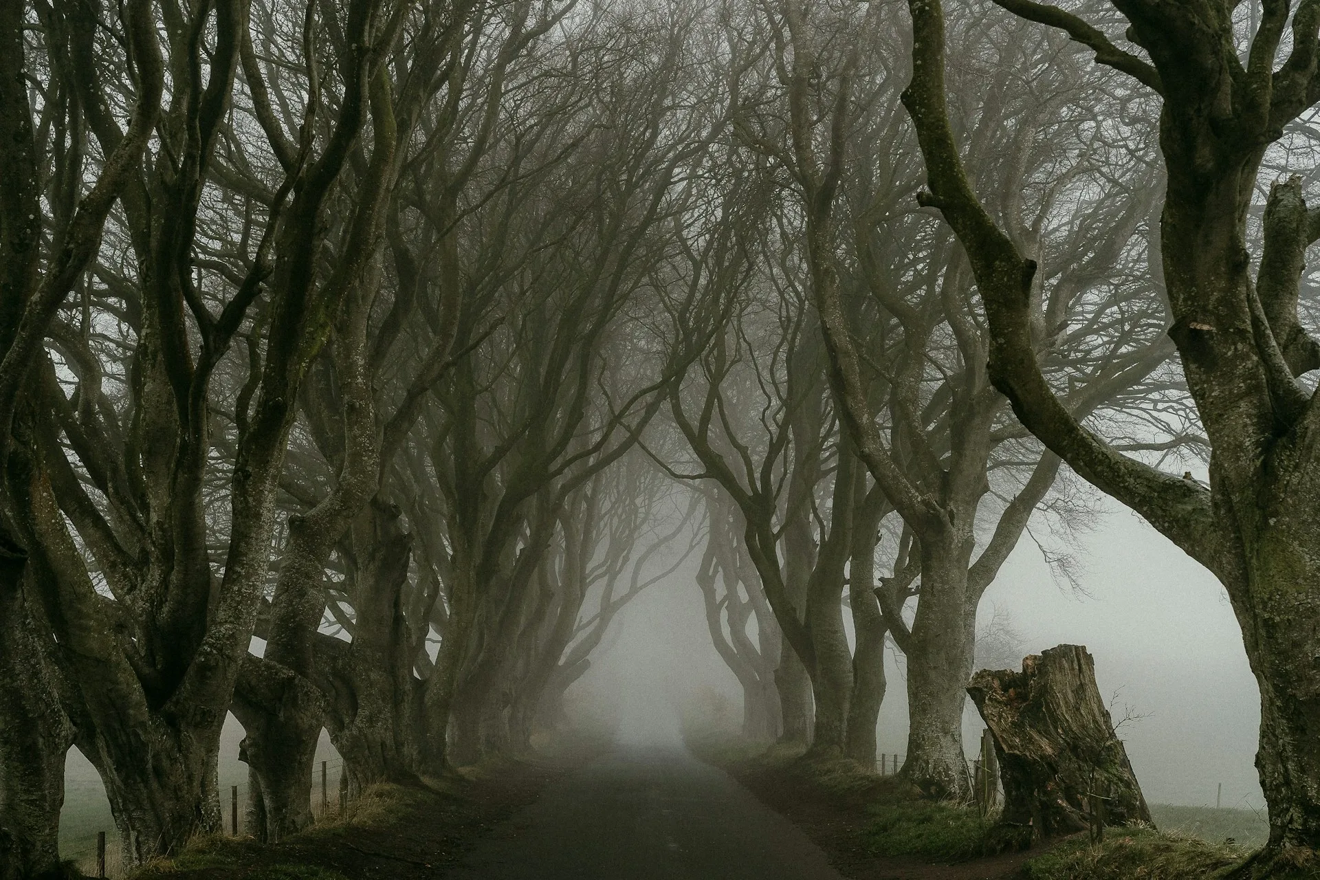 The Glens of Antrim and the Dark Hedges