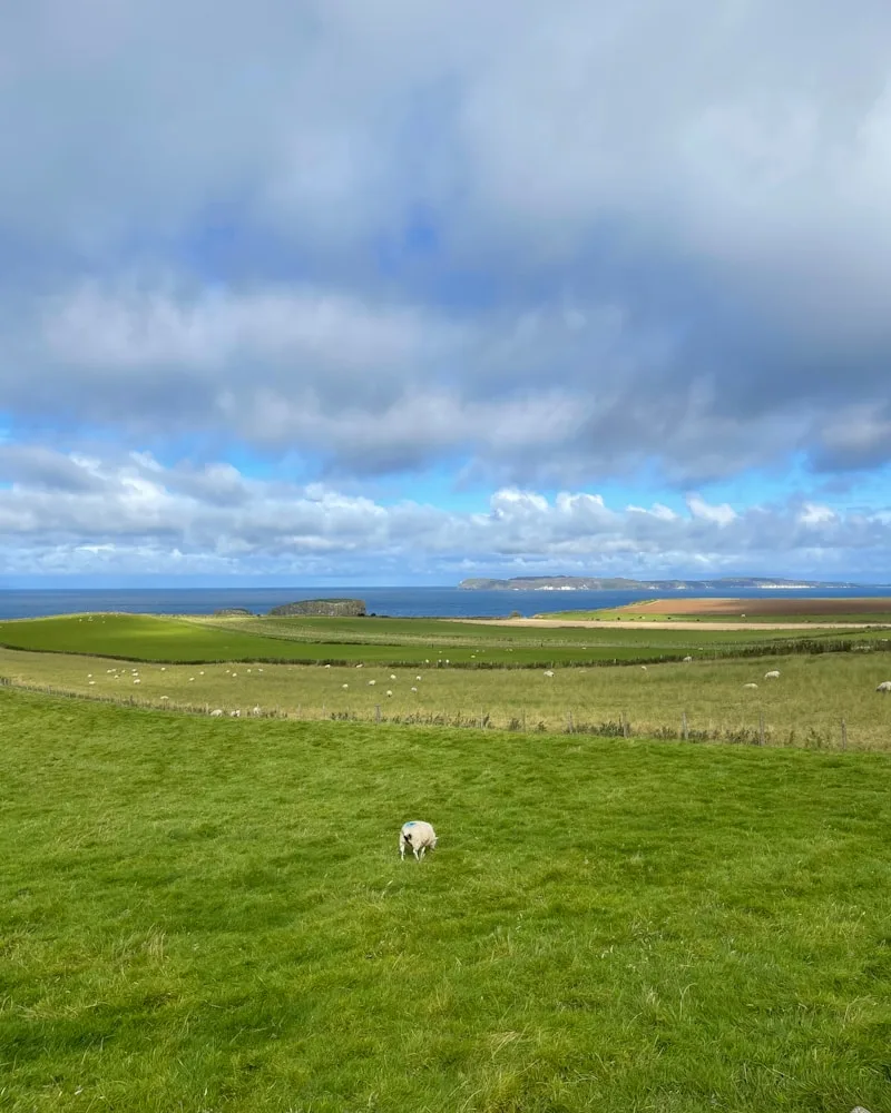 The Antrim Coast Road, Northern Ireland