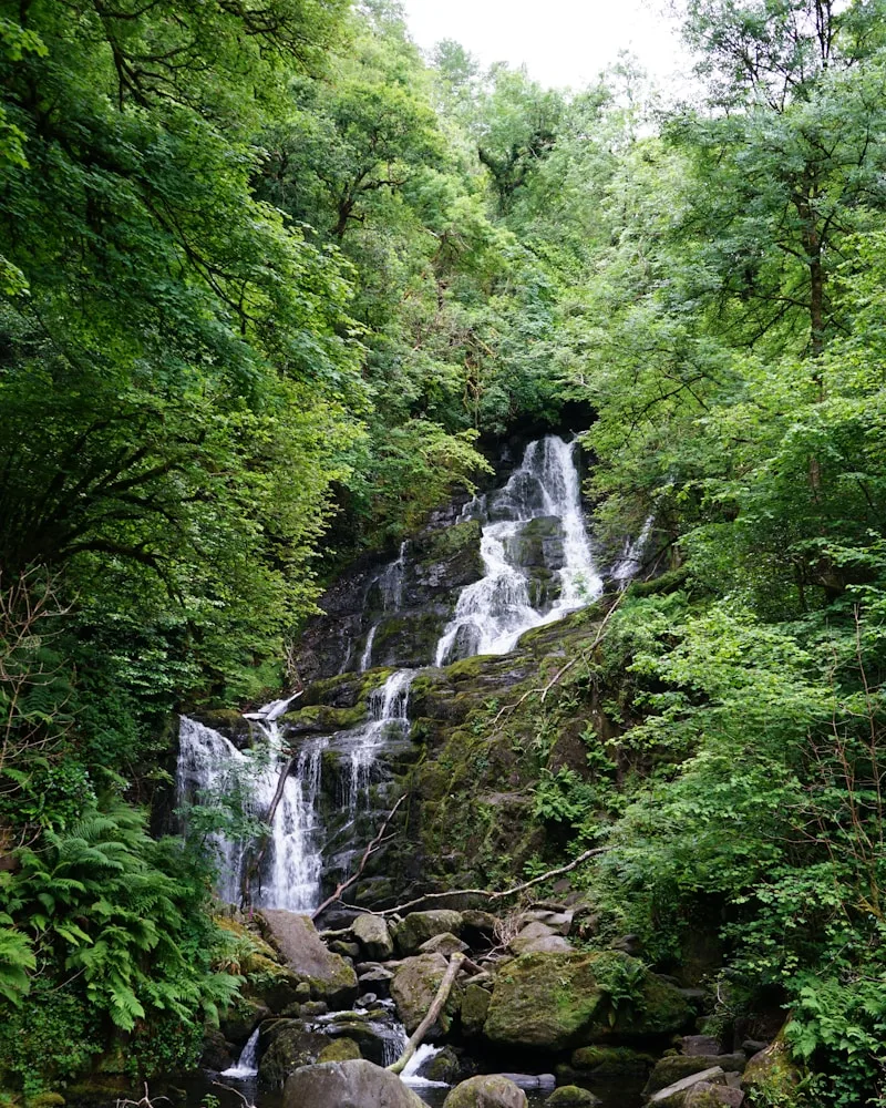 Glenariff's forest waterfalls, Northern Ireland