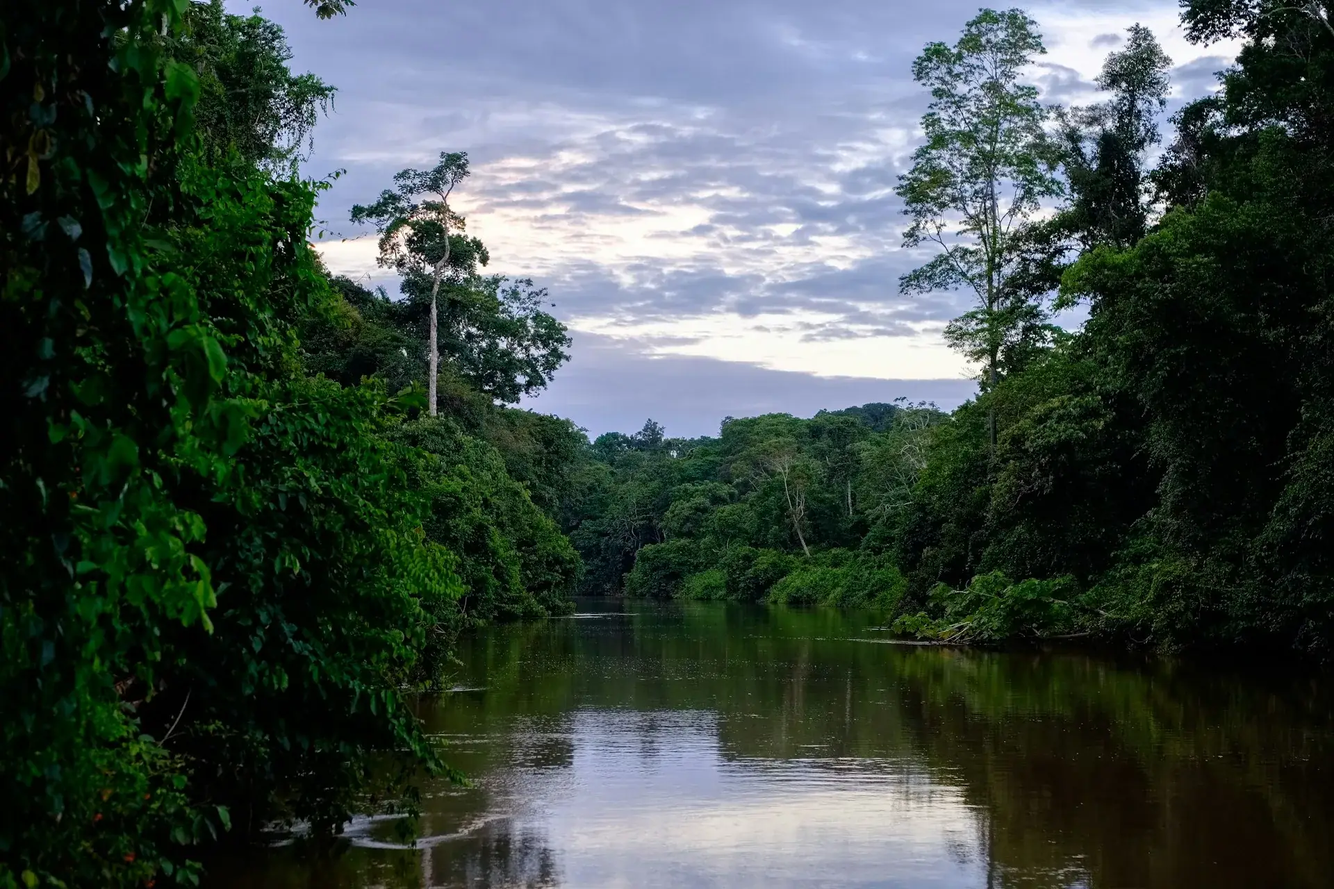 The Peruvian Amazon, Peru