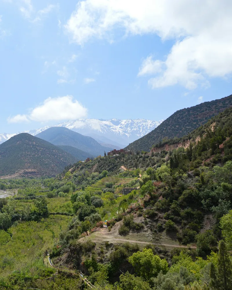 The Atlas Mountains