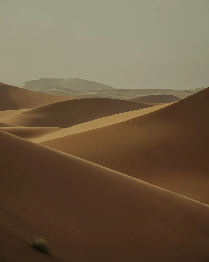 The Sahara