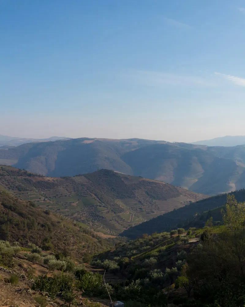 Porto & the Douro Valley