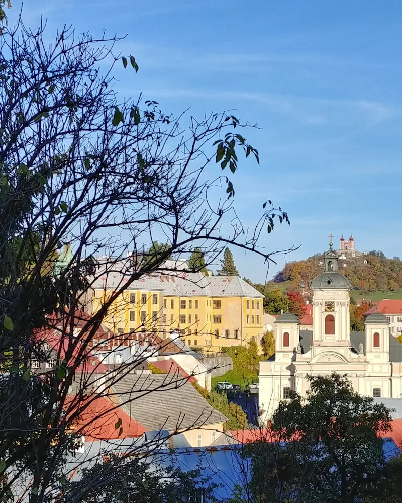 The old town rooftops and a castle, Slovakia