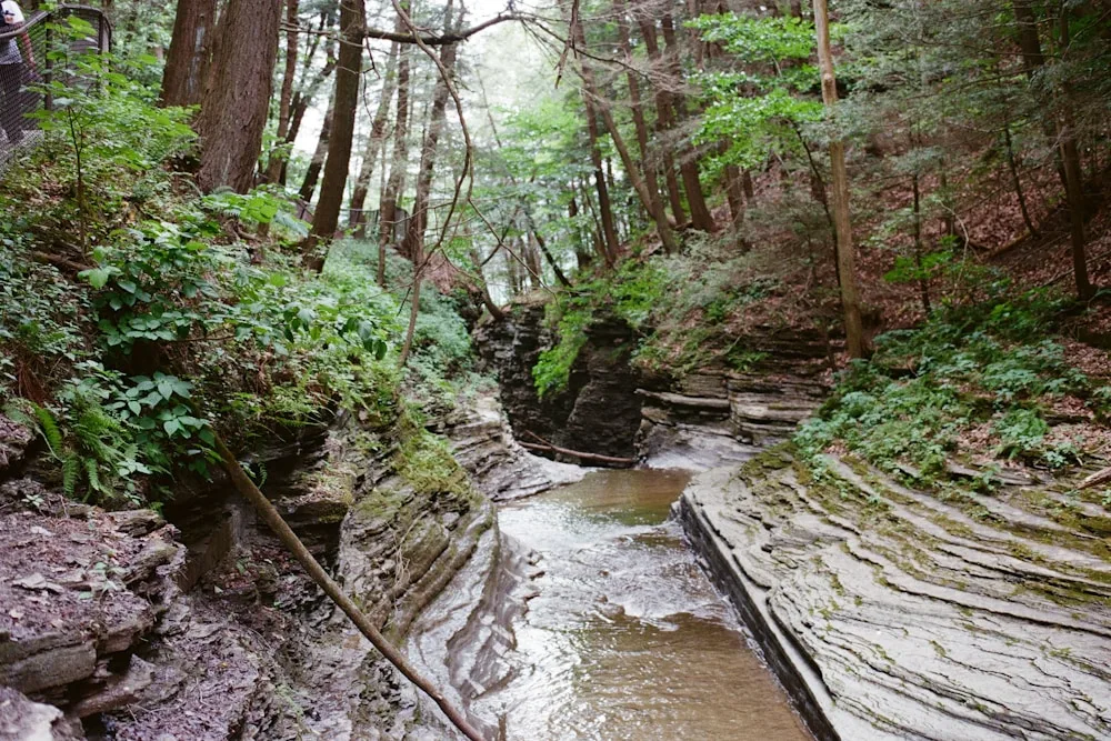 The gorge hikes