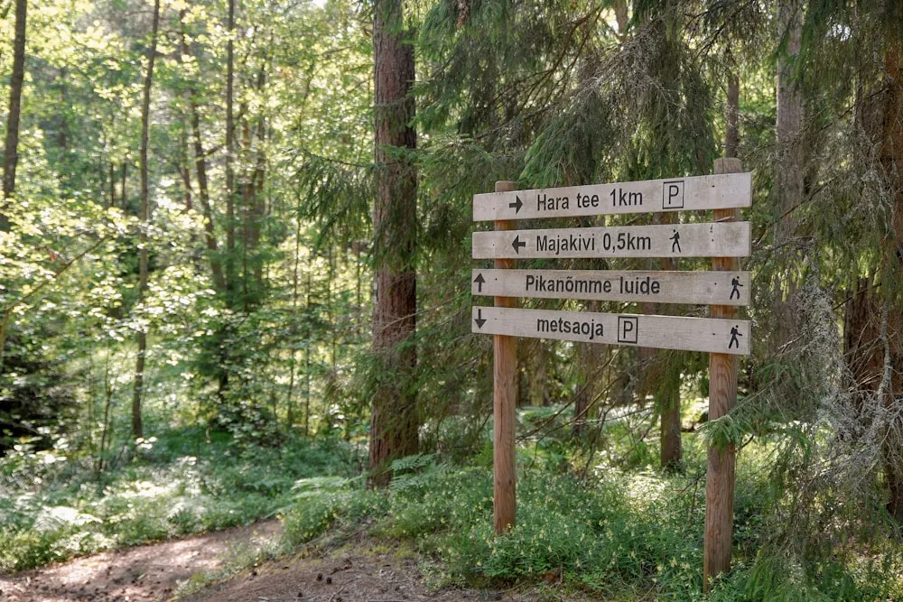 Planning your visit