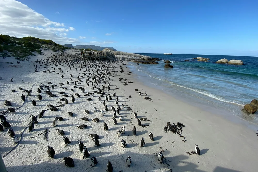 The Boulders boardwalk